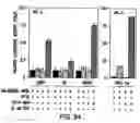 Fig. 53 - Androgen receptor coregulators