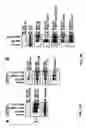 Fig. 03 - Methods and compositions for modulating hyperstabilized c-met