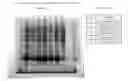 Fig. 32 - Method of treatment using adiponectin variants