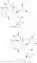 Fig. 130 - Motilide compounds