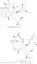 Fig. 135 - Motilide compounds