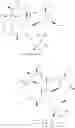 Fig. 137 - Motilide compounds