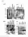 Fig. 04 - Genes and polypeptides relating to human pancreatic cancers