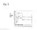 Fig. 05 - Method of Enhancing Therapeutic Effect of Nucleic Acids