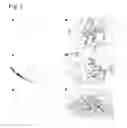 Fig. 06 - Method of Enhancing Therapeutic Effect of Nucleic Acids