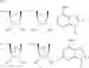 Fig. 06 - Methanocarba cycloalkyl nucleoside analogues