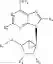 Fig. 09 - Methanocarba cycloalkyl nucleoside analogues