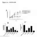 Fig. 19 - Methods for the treatment and prevention of inflammatory diseases