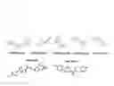 Fig. 02 - Methods for the treatment and prevention of angiogenic diseases