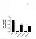 Fig. 04 - Methods for the treatment and prevention of angiogenic diseases