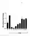 Fig. 06 - Methods for the treatment and prevention of angiogenic diseases