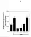Fig. 07 - Methods for the treatment and prevention of angiogenic diseases