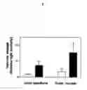 Fig. 09 - Methods for the treatment and prevention of angiogenic diseases