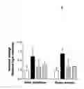 Fig. 10 - Methods for the treatment and prevention of angiogenic diseases