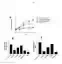 Fig. 12 - Methods for the treatment and prevention of angiogenic diseases