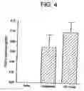 Fig. 04 - Combinations of superoxide dismutase mimetics and nonsteroidal analgesic/anti-inflammatory drugs
