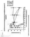Fig. 07 - Combinations of superoxide dismutase mimetics and nonsteroidal analgesic/anti-inflammatory drugs