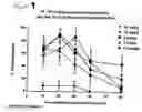Fig. 09 - Combinations of superoxide dismutase mimetics and nonsteroidal analgesic/anti-inflammatory drugs