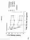 Fig. 12 - Combinations of superoxide dismutase mimetics and nonsteroidal analgesic/anti-inflammatory drugs
