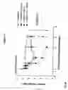 Fig. 16 - Combinations of superoxide dismutase mimetics and nonsteroidal analgesic/anti-inflammatory drugs