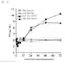Fig. 04 - Method of preventing, medicating, and/or treating hypocalcemia of domestic mammal