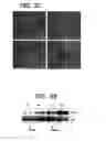 Fig. 04 - Agents and methods for enhancing bone formation