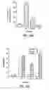 Fig. 13 - Agents and methods for enhancing bone formation
