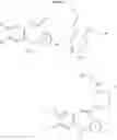 Fig. 14 - Substituted piperazines of azepines, oxazepines and thiazepines