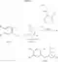 Fig. 25 - Substituted piperazines of azepines, oxazepines and thiazepines