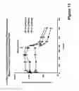 Fig. 12 - Methods for administration of a farnesyl dibenzodiazepinone