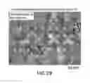 Fig. 30 - Crystalline forms of ziprasidone mesylate