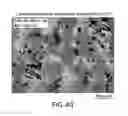 Fig. 43 - Crystalline forms of ziprasidone mesylate