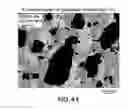 Fig. 44 - Crystalline forms of ziprasidone mesylate
