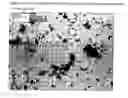 Fig. 06 - Anhydrous ziprasidone mesylate and a process for its preparation