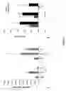Fig. 07 - Stabilization of hypoxia inducible factor (HIF) alpha