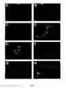 Fig. 08 - Potentiation of antineoplastic agents using sigma-2 ligands