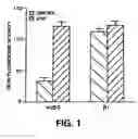 Fig. 02 - Methods for inhibition of angiogenesis