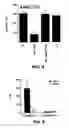 Fig. 12 - Methods for inhibition of angiogenesis