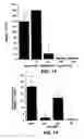 Fig. 15 - Methods for inhibition of angiogenesis