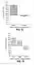 Fig. 16 - Methods for inhibition of angiogenesis