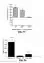 Fig. 17 - Methods for inhibition of angiogenesis