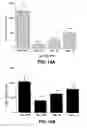 Fig. 18 - Methods for inhibition of angiogenesis