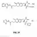 Fig. 30 - Methods for inhibition of angiogenesis