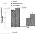 Fig. 15 - Agents useful for reducing amylioid precursor protein and treating dementia and methods of use thereof