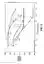 Fig. 03 - Foamed material and a method of making a foamed material
