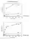 Fig. 13 - Dental releasing materials