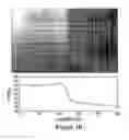 Fig. 06 - Three-dimensional optical data storage in fluorescent dye-doped photopolymer