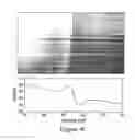 Fig. 07 - Three-dimensional optical data storage in fluorescent dye-doped photopolymer