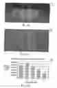 Fig. 12 - Systems and methods for controlling and forming polymer gels