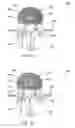 Fig. 31 - Systems and methods for controlling and forming polymer gels